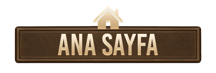 Ana Sayfa